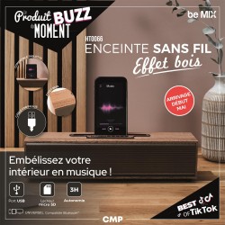 GCMP3068 | ENCEINTE EFFET...