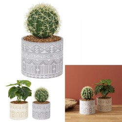 GCMP1104 | PLANTE...