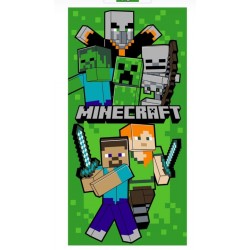 AP200 | MINECRAFT