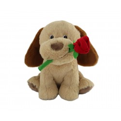 PN1511 |Valentine sitting...