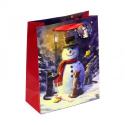 DPR102 | Sac Cadeau...